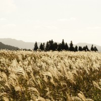 巷子里的童年GG的个人频道