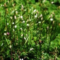 飞车;严斌跑手游地图王者峡谷!来看看和手游的