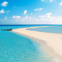 王牌对王牌:黄轩被问是否有女友,如实回答,真是