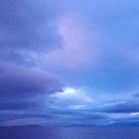 侏罗纪世界游戏 霸王龙VS三角龙VS镰刀龙,恐