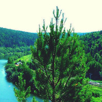 迷你世界生存 繁华大都会,汤米去哪儿了?