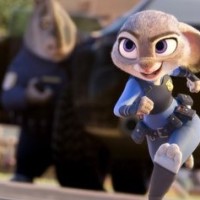 杨幂会和baby交流铲屎心得,最近口头禅:好喜欢