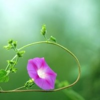 醉玲珑陈伟霆对刘诗诗甜言蜜语之后瞬间变脸