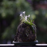 亲子早教益智动画:3D动漫冰激凌彩虹糖果盒教