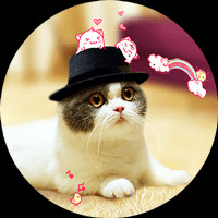 CF手游:王者飞行棋一小伙意图购买10发试水,结