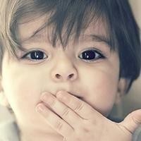 蛋蛋的辗转人生