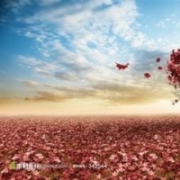 迪丽热巴讨厌什么样的男人,行礼箱子里都装的