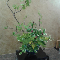 万年太久只争朝夕的个人频道