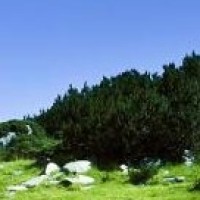 小玲时尚聊游戏的个人频道