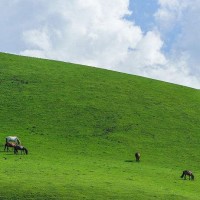绝地求生吃鸡搞笑日常 看外国妹子吃鸡, 比看抖