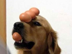 幽默笑话:爸爸,为什么哥哥的名字叫解放啊?