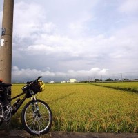 阿波赶海抓青蟹,一眼就看出这是青蟹刨出来的