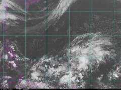 台风胚胎97w在发展,会不会成为4号台风艾云