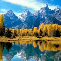 莽荒纪纪宁给余薇解药,厉害了