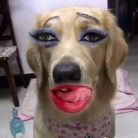 郭麒麟被挨打,老郭亲眼看见却不阻拦,主持人:你