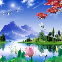 罗志祥和周杰伦互相模仿 大s声称台上两个周杰伦