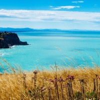 20180212《焦点访谈》 重拳打击网络乱象MC