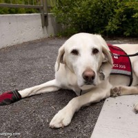 仙剑奇侠传三:龙葵因在锁妖塔中已久,历练出的