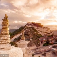 犯罪都市:大哥太嚣张,转眼就被张谦蛋干掉、小