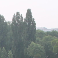 血流麻将 咸鱼翻身, 清金钩钓不胡上家反手自摸