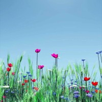 祖上开烟厂带破瓶鉴宝,倍放大镜一看,估价万港