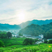 快乐的小海绵的个人频道