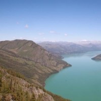 张杰北京演唱会,何炅谢娜蔡徐坤等前去助阵,这