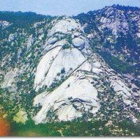 烟雨青黛的个人频道