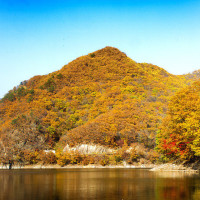 汪星人泰迪狗放屁男主人都被熏倒了,狗狗振振