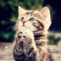 姐妹花Twins现场一首粤语歌惊艳观众,转眼15年