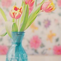 《外科风云》杨羽怀孕 陈绍聪不肯结婚遭暴打