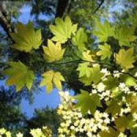 摔跤比赛现场,女孩弯腰瞬间被抓拍,网友:美!