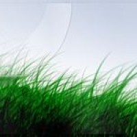 邓紫棋加入中国有嘻哈2导师团队,陈冠希讽刺不