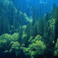 电影之夜冯小刚脱口秀 赵丽颖打假李易峰媳妇