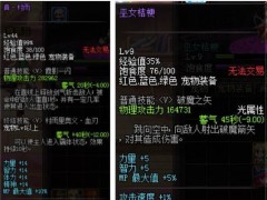 DNF:卢克C必备的破防宠物,高效的破防让你爱