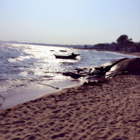 《奔跑吧》第二季收官 嘉年华的超豪华嘉宾阵