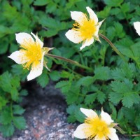 玉帝和西天王禺周的一场战争,奠定了玉帝在三