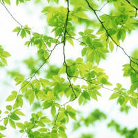 手游小霸王:俄罗斯和沙特的小组比赛,就用FIFA