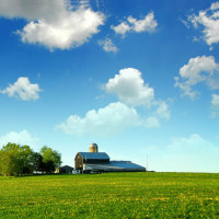 沈氏要易主沈长清霸气收回潘伟森股权小人阴谋
