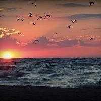 街头押宝十赌九骗, 没想到这次遇上高人了, 铁锤