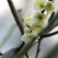 当抖森跳舞遇上土味BGM会是什么样的画风