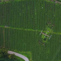 90后高校大学生现场版的神曲《极乐净土》, 我