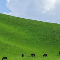 新白娘子传奇:小青,清风洞闭关修炼13年,法力大