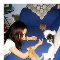 无硼砂水怎么办?一分钟教你用洗衣液自制假水