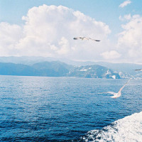 蔡徐坤好幽默啊,这么喜欢背带裤