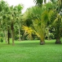 谈判官:黄子韬拐卖杨幂到美国,摸头杀捏脸,看黄