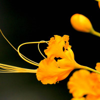 娜迦蛇后发威之后的情形,怕是这整座城的人都