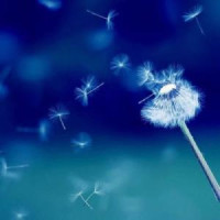 陆贞传奇:丹娘拆穿阿碧假怀孕