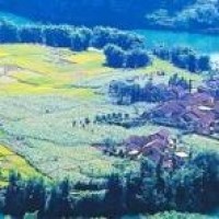 庄周免疫老夫子大招,这怎么玩