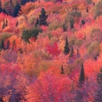 我很穷的个人频道